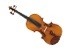Orchestral