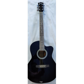 GUITAR HAVANA AAG39 BLACK, FREE SHIPPING.