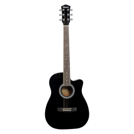 GUITAR HAVANA AAG38 BLACK, FREE SHIPPING.