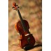 Violin 4/4,Professional's,With Rosin and Bow & Hard Case